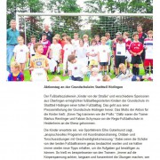 Südkurier vom 25.06.2012