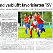 Pressebericht 20