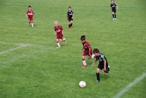 Marienpflege 2011 186