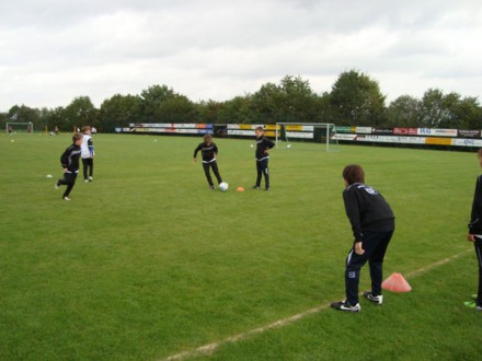 Kaste Sommer 2011 026