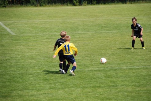 Marienpflege 2011 136