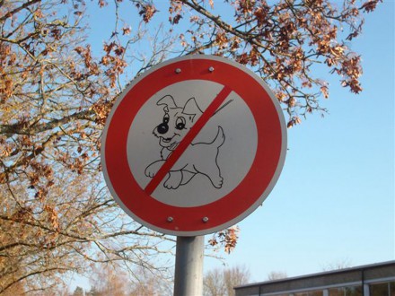 Klinge Kinderdorf 13.11.2011 002