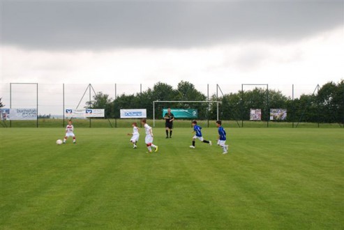 Marienpflege 2011 016