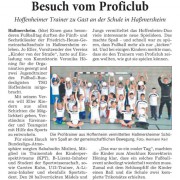 Rhein-Neckar-Zeitung vom 29.10.2014